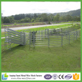 Mejor Precio Galvanizado Steel Cattle Yard Panel